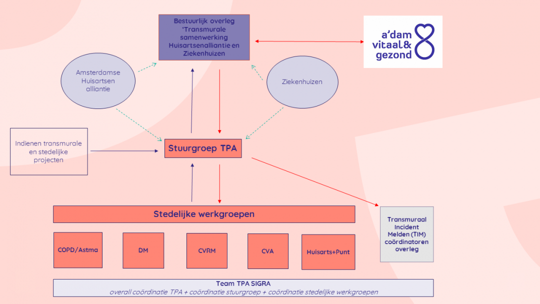 Governance-structuur TPA